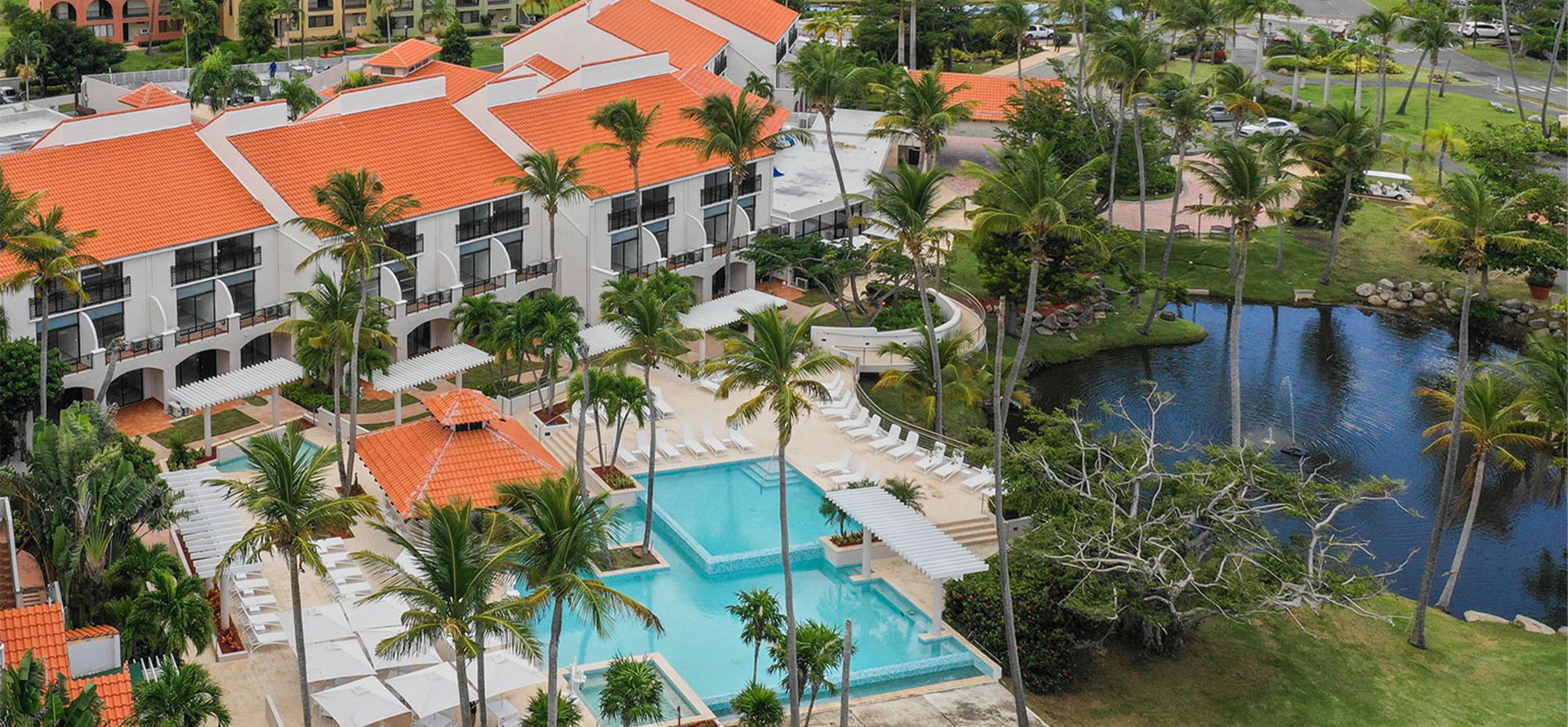 Puerto rico  all-inclusive adults only resort with palmtrees.
