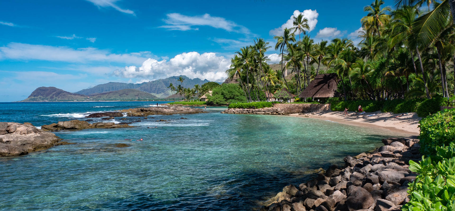 Overwater bungalows hawaii palmtree.