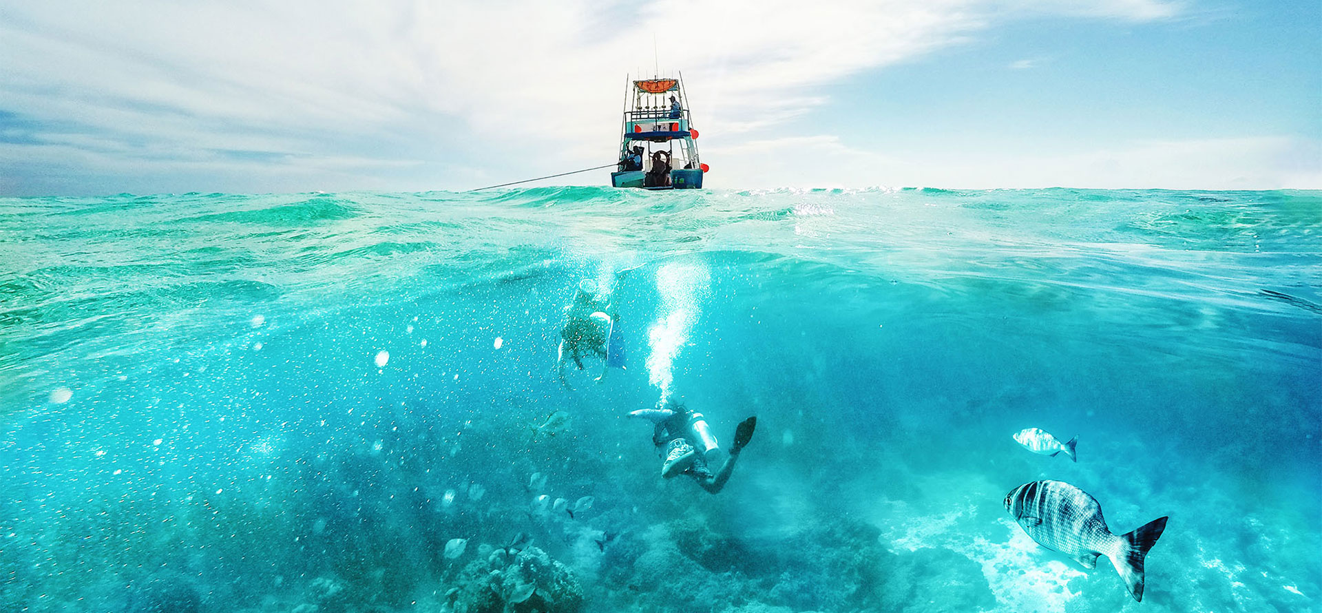Cozumel vs playa del carmen underwater.