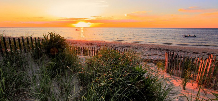 8 Best Beaches in Cape Cod! Top by tripbirdie.com