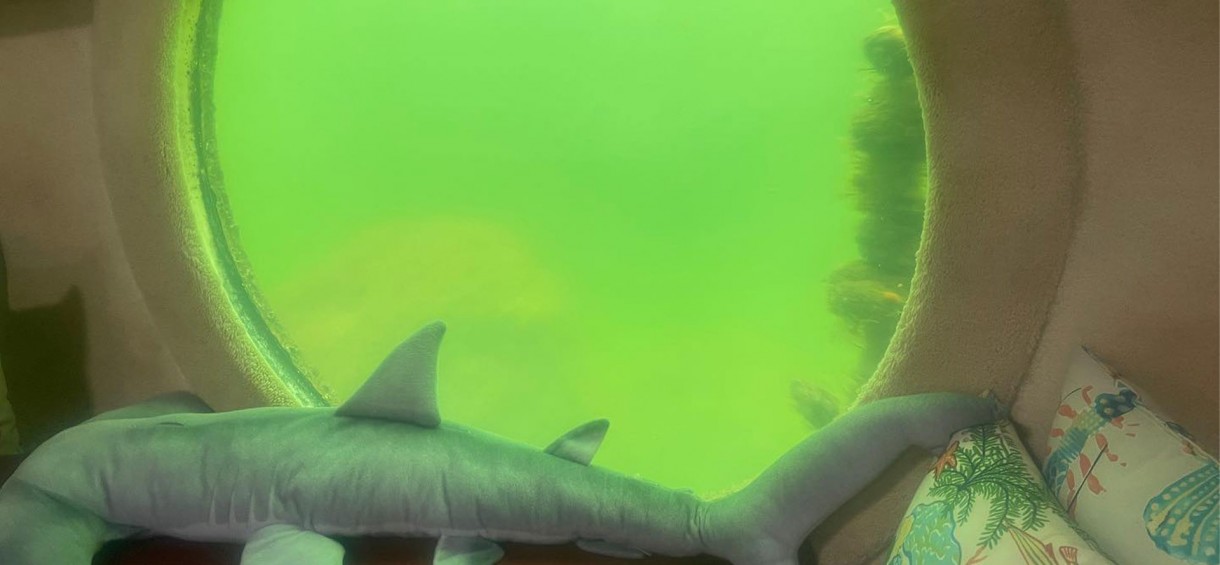 Best Florida Underwater Hotels, Huts & Resorts in 2024