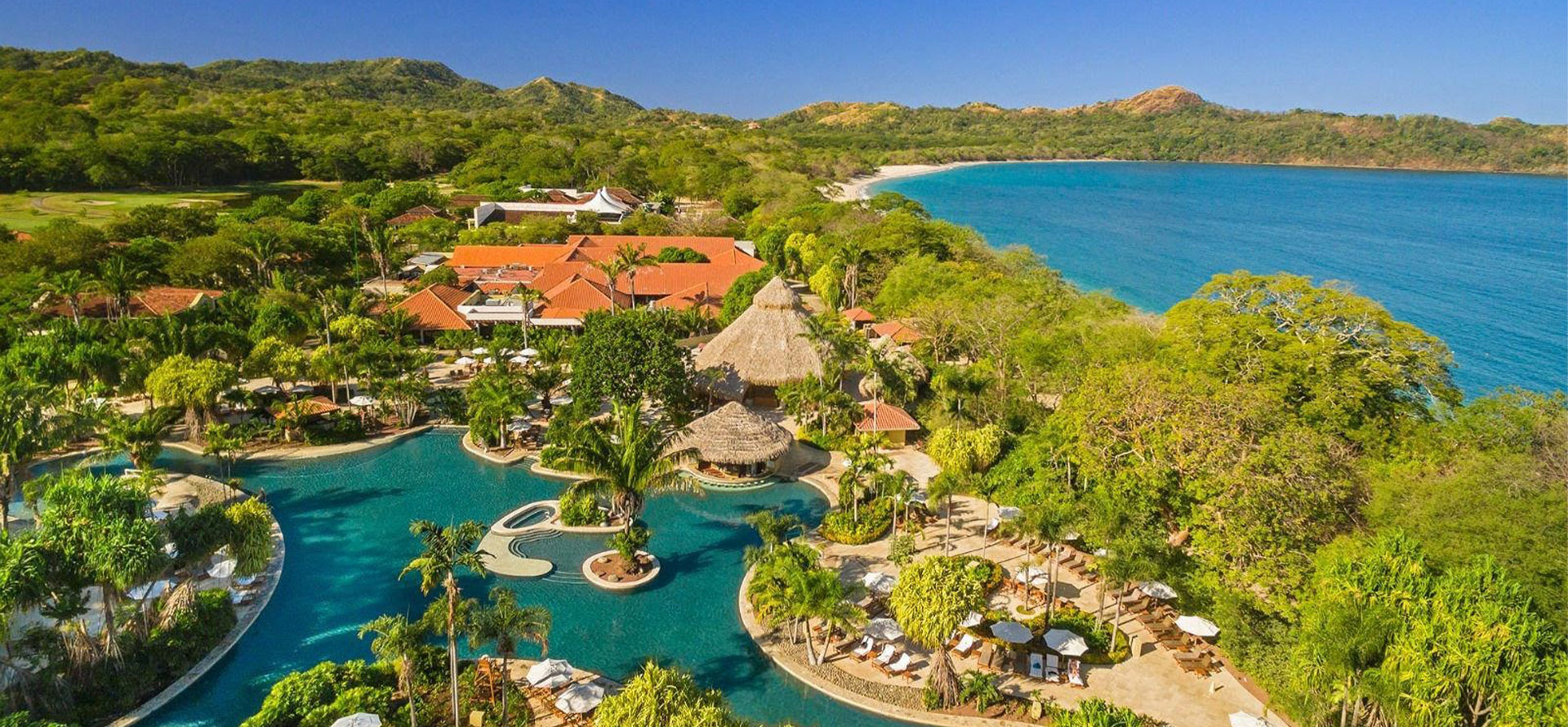 Costa rica all-inclusive adults only resort swimming pool and palmtree.