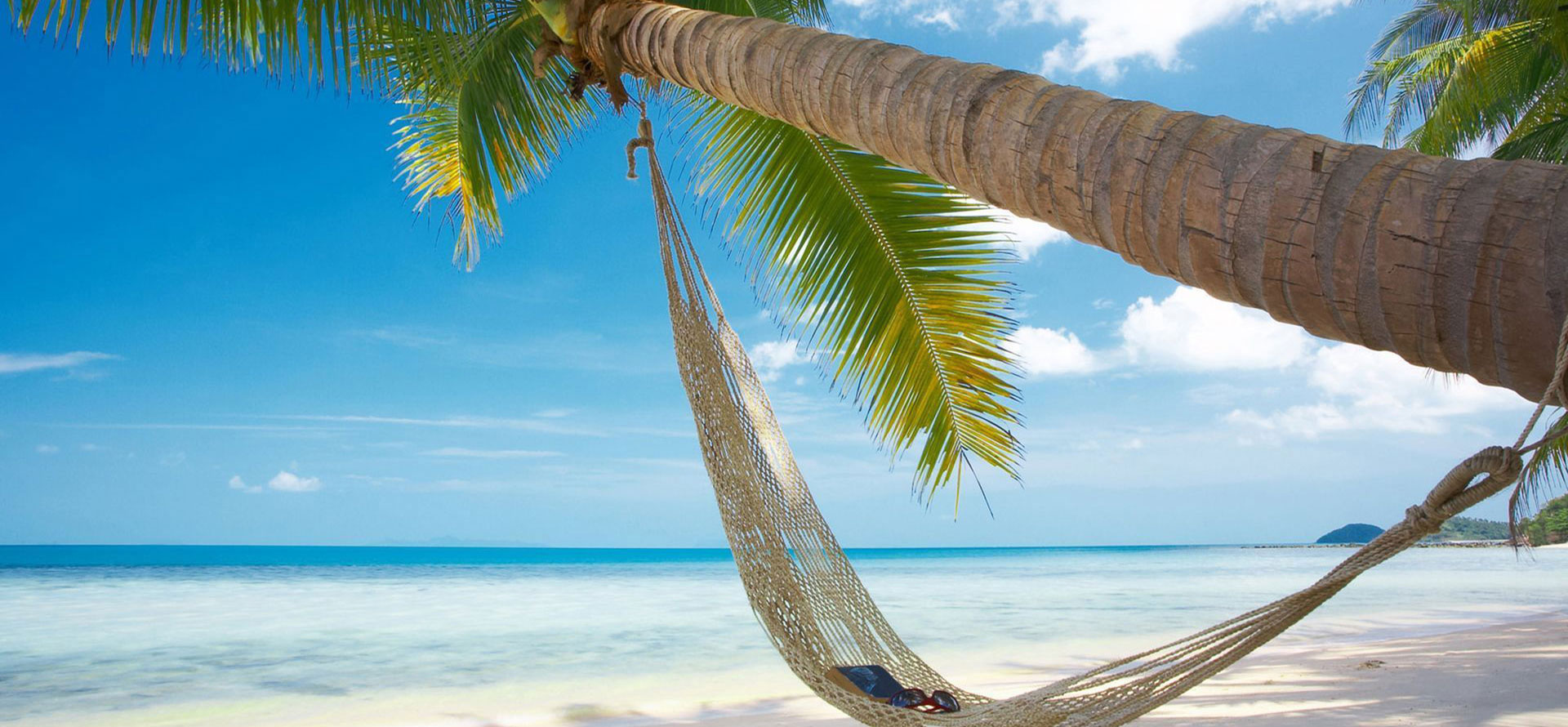 Bahamas vs puerto rico palmtree on a beach.