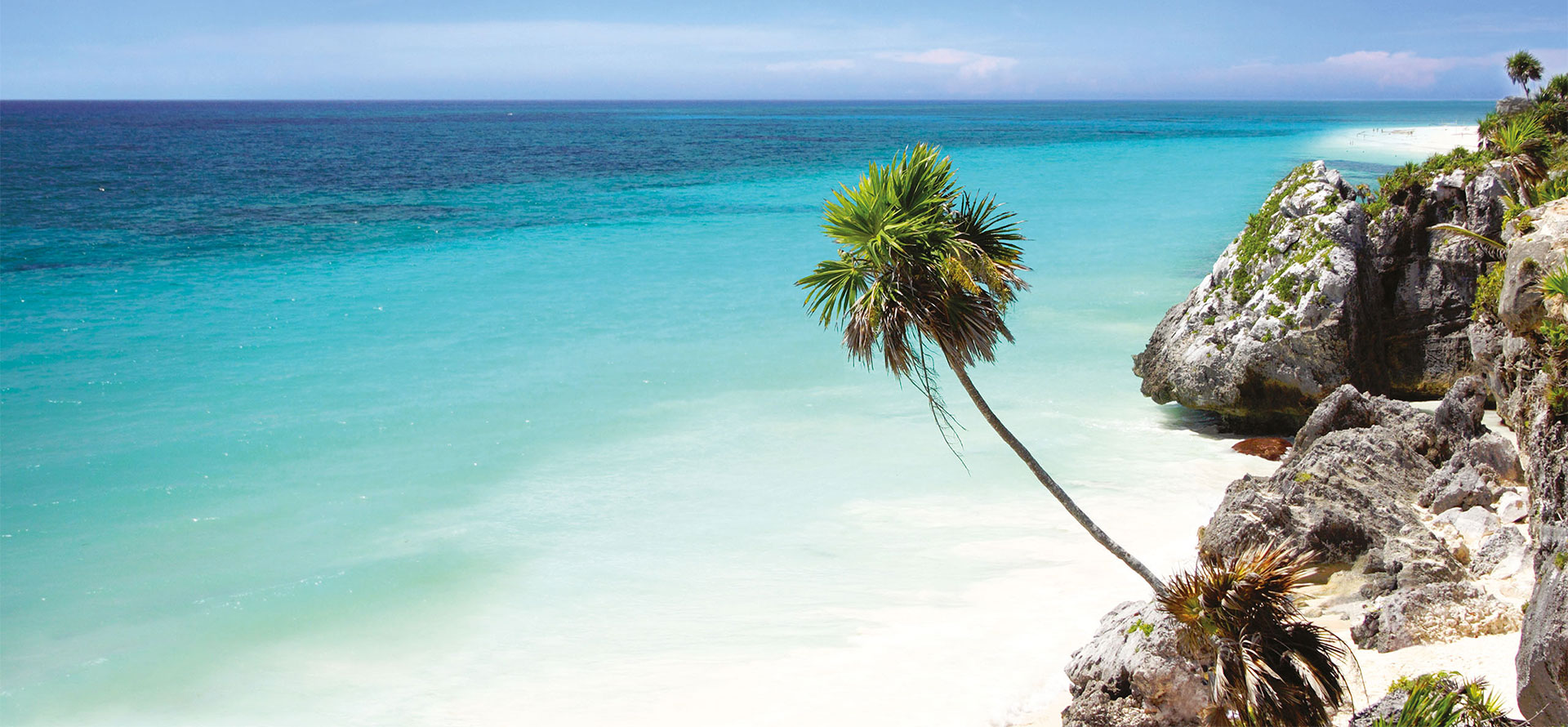 Hawaii vs costa rica palmtree.