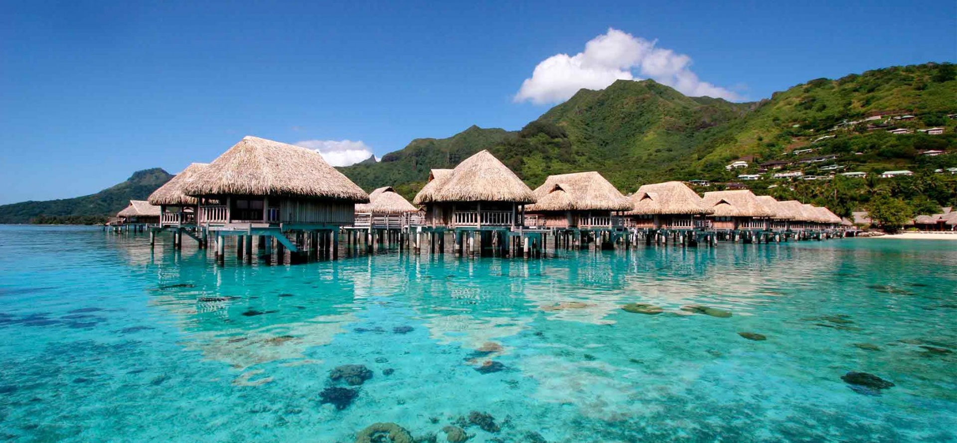 Moorea best view of bungalows on water.