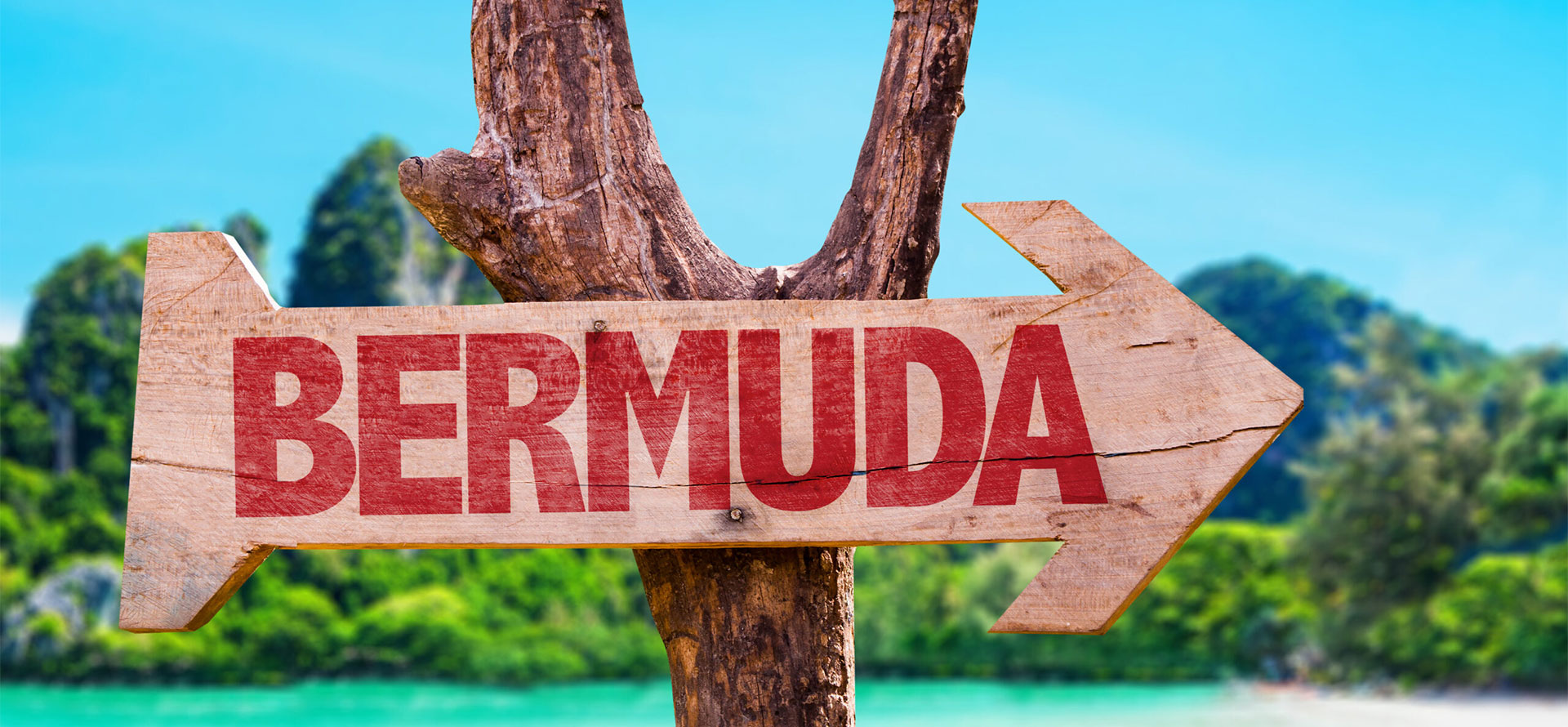 Bermuda best time to visit pointer.
