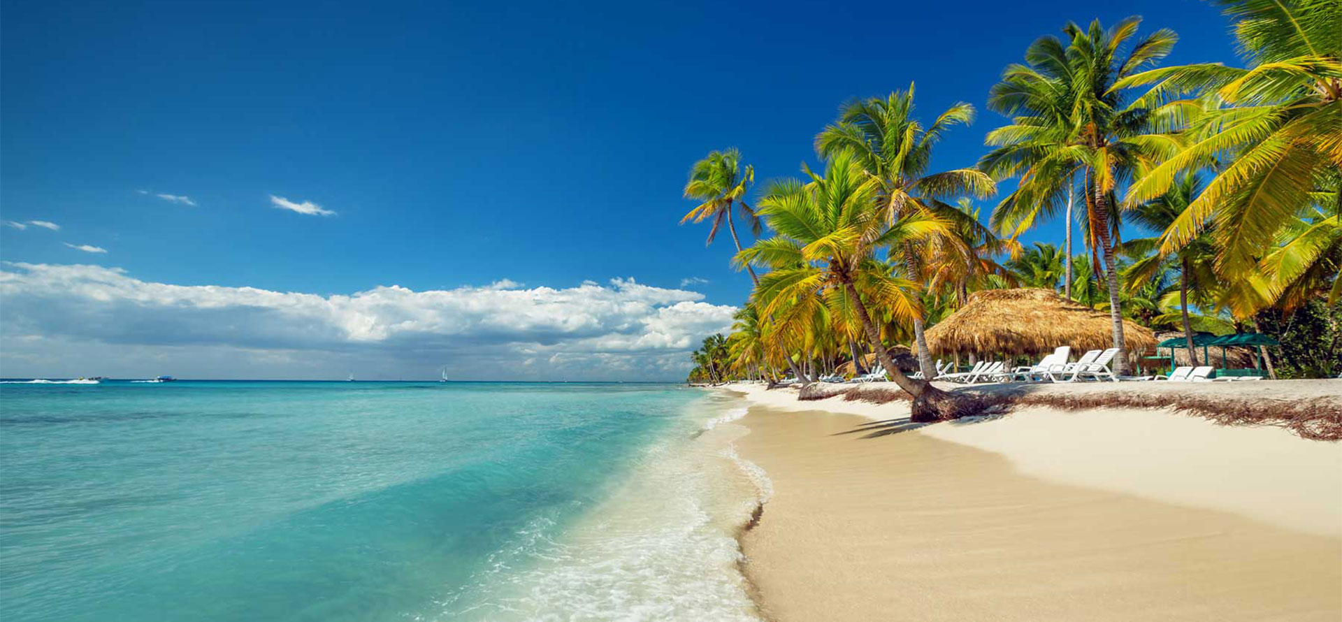 Riviera maya vs cancun palmtree.