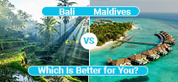 Bali vs Maldives.