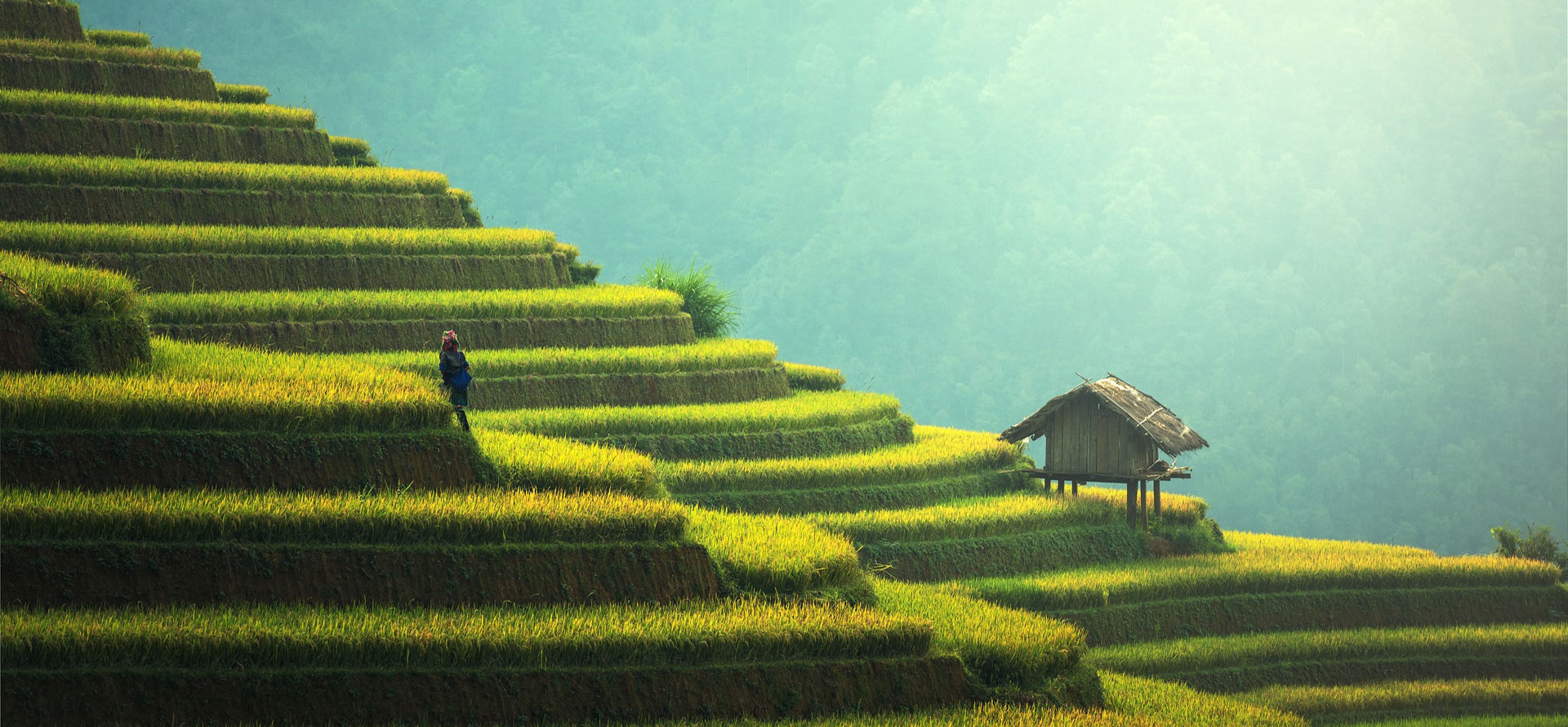 Beautiful landscape in China.