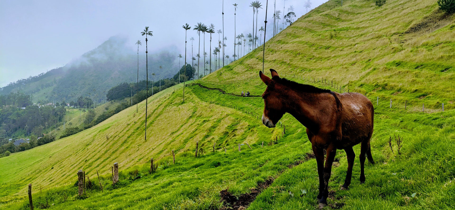 Landscape in Colombia.