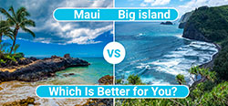 Maui vs Big Island.