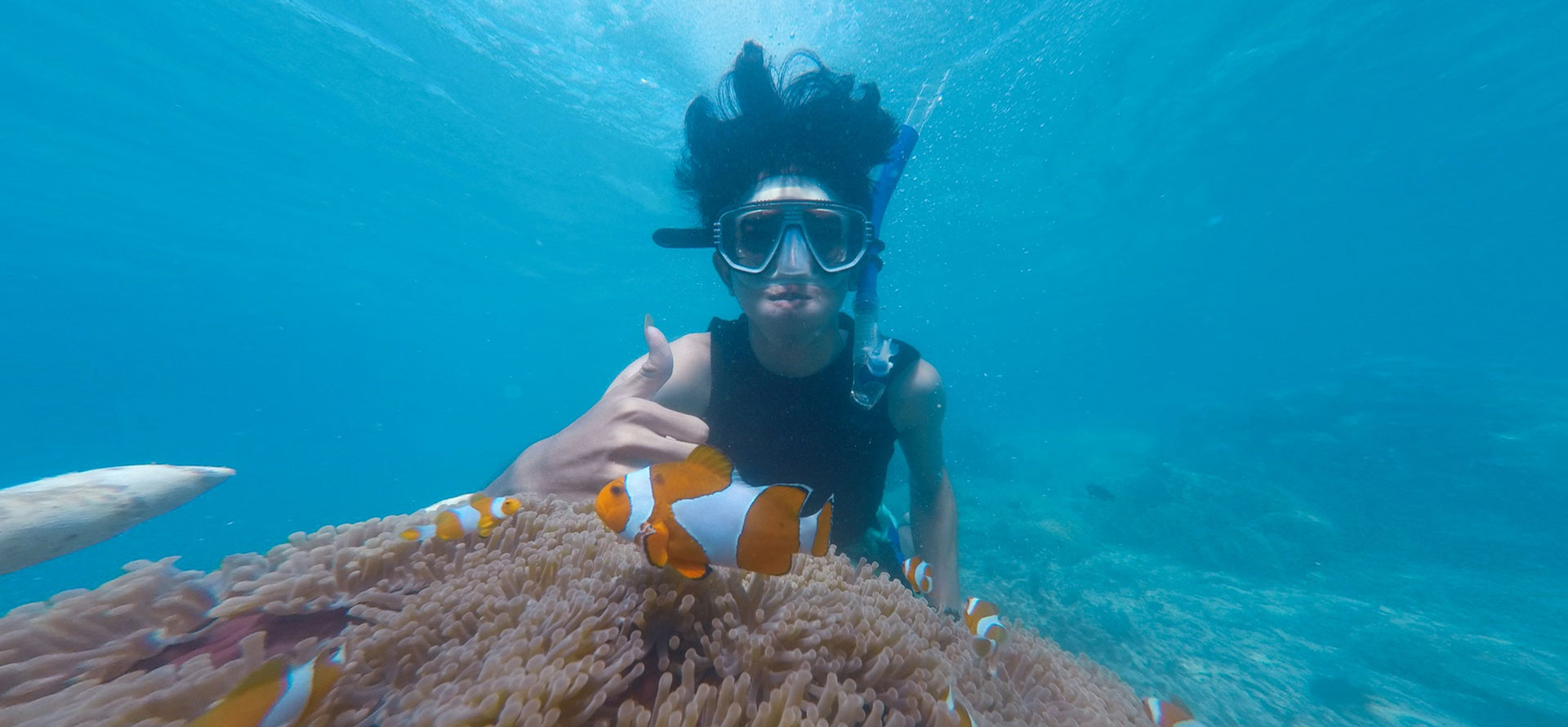 Snorkeling in Seychelles.