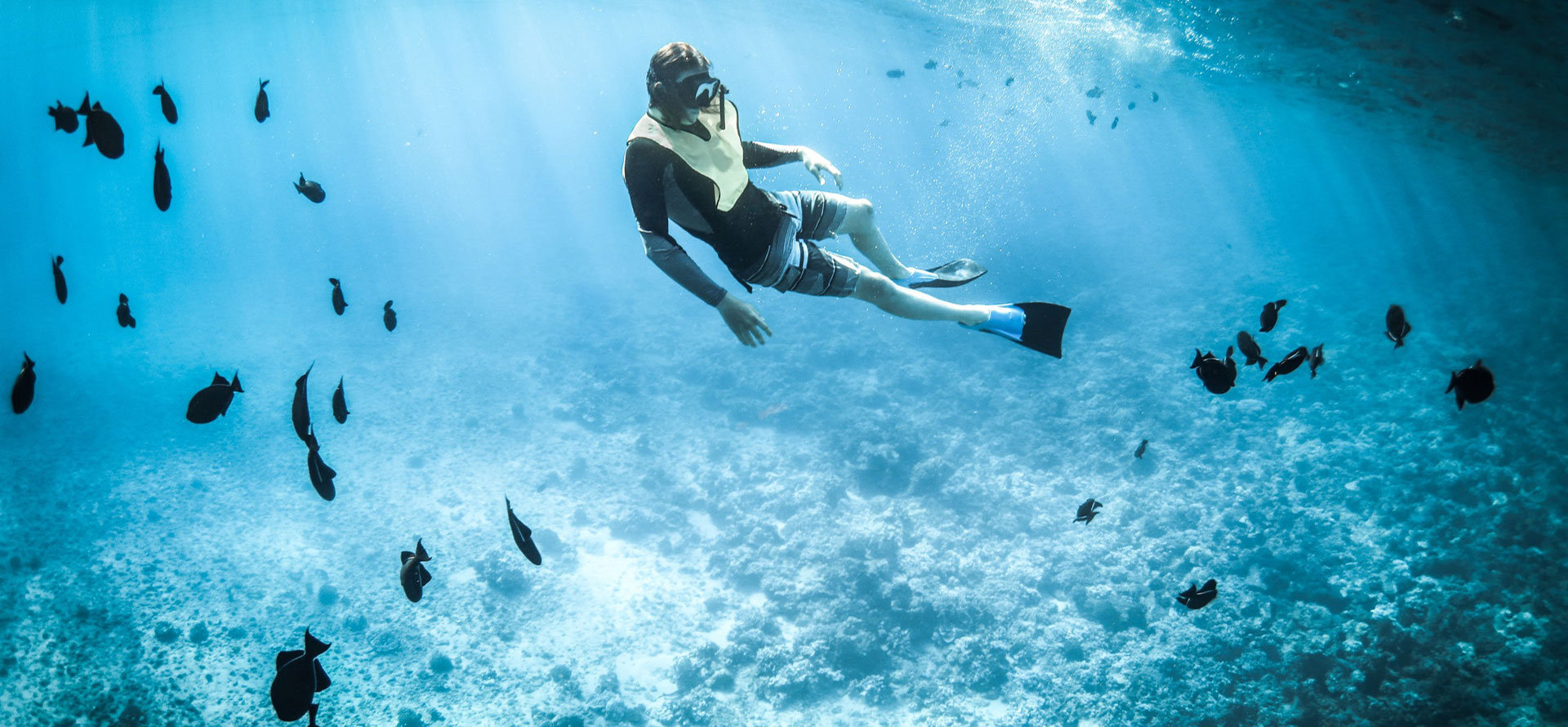 Diving in tijuana.