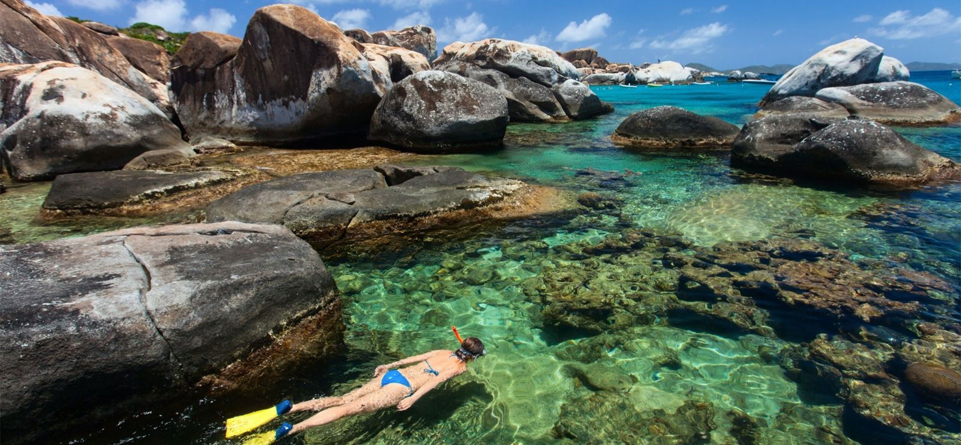 Snorkeling in Virgin Gorda.