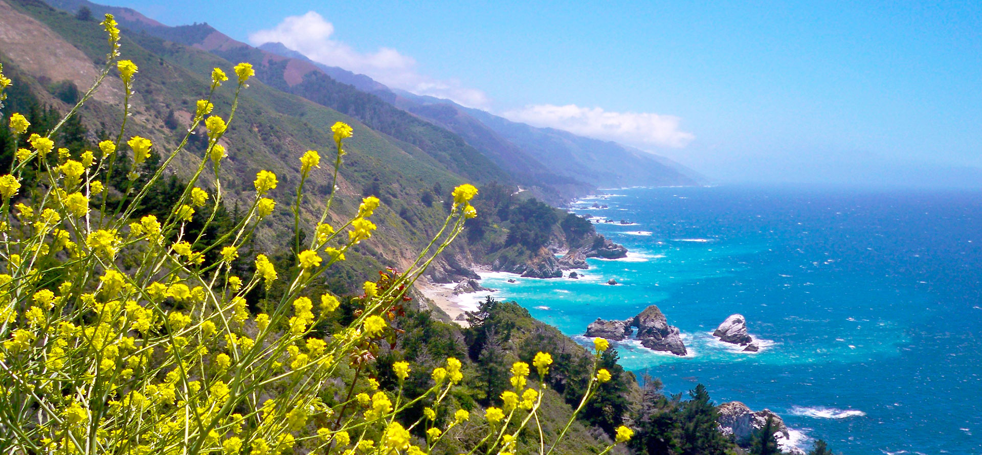 Coast in Big Sur.