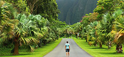 Best Time to Visit Oahu.