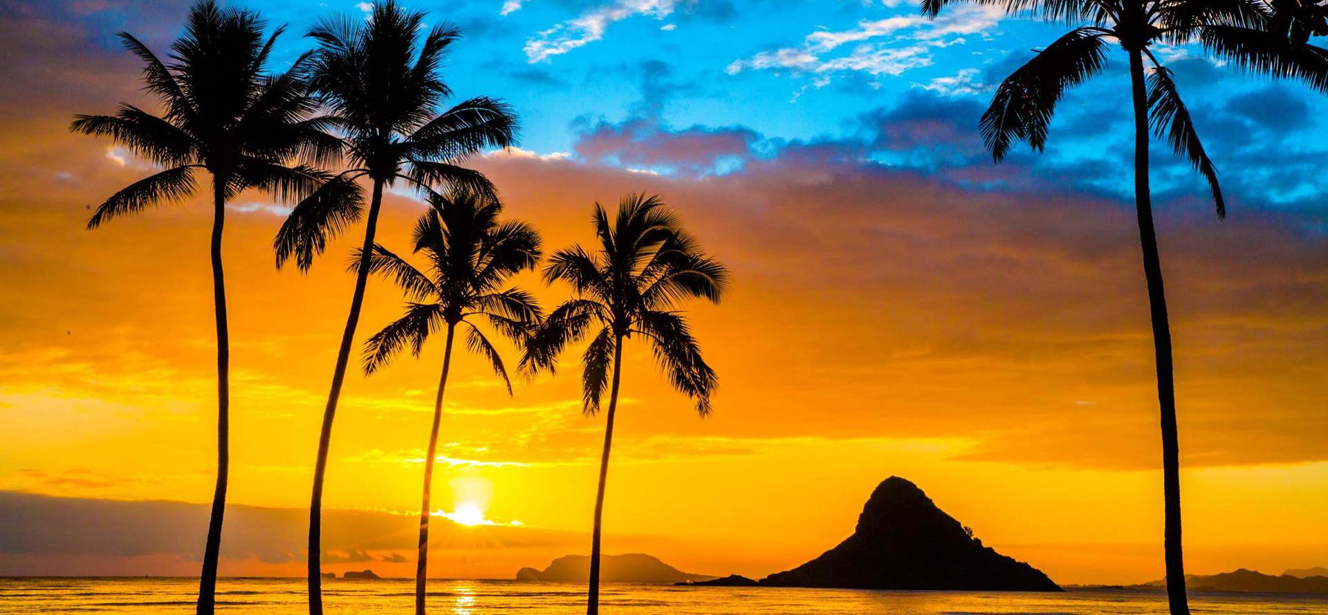 Sunset in Oahu.