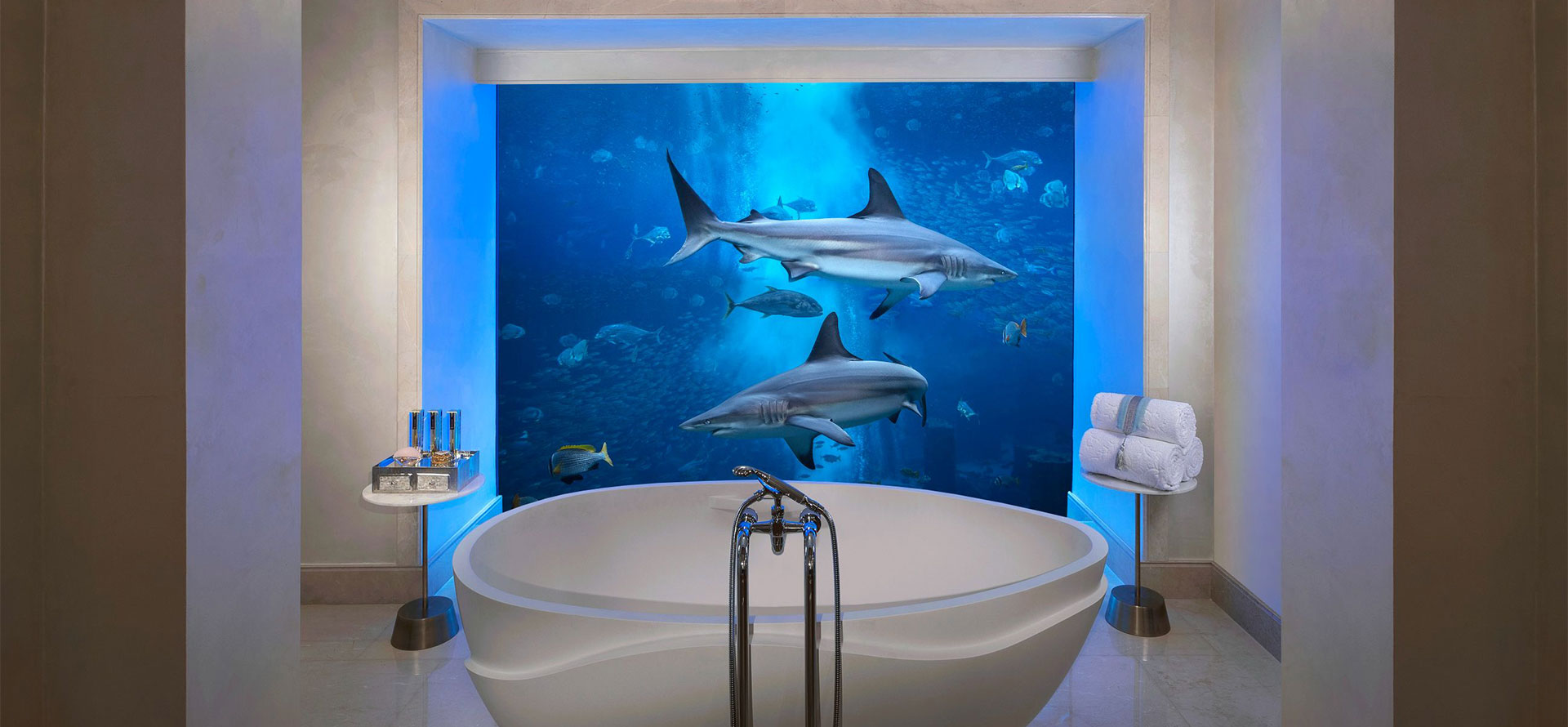 Bathroom in Dubai Underwater Hotel.