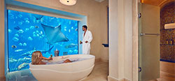 Dubai Underwater Hotels.