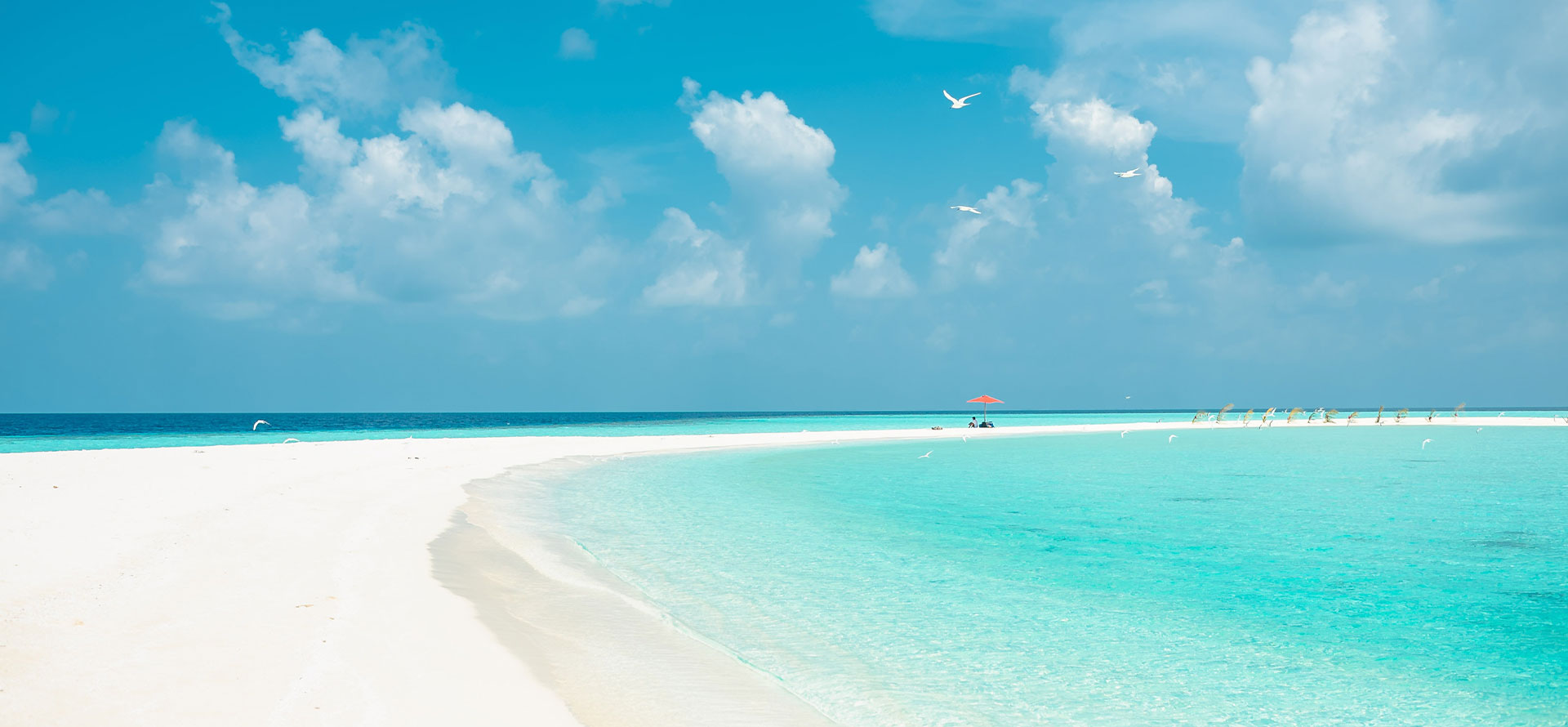 Ocean in Seychelles.