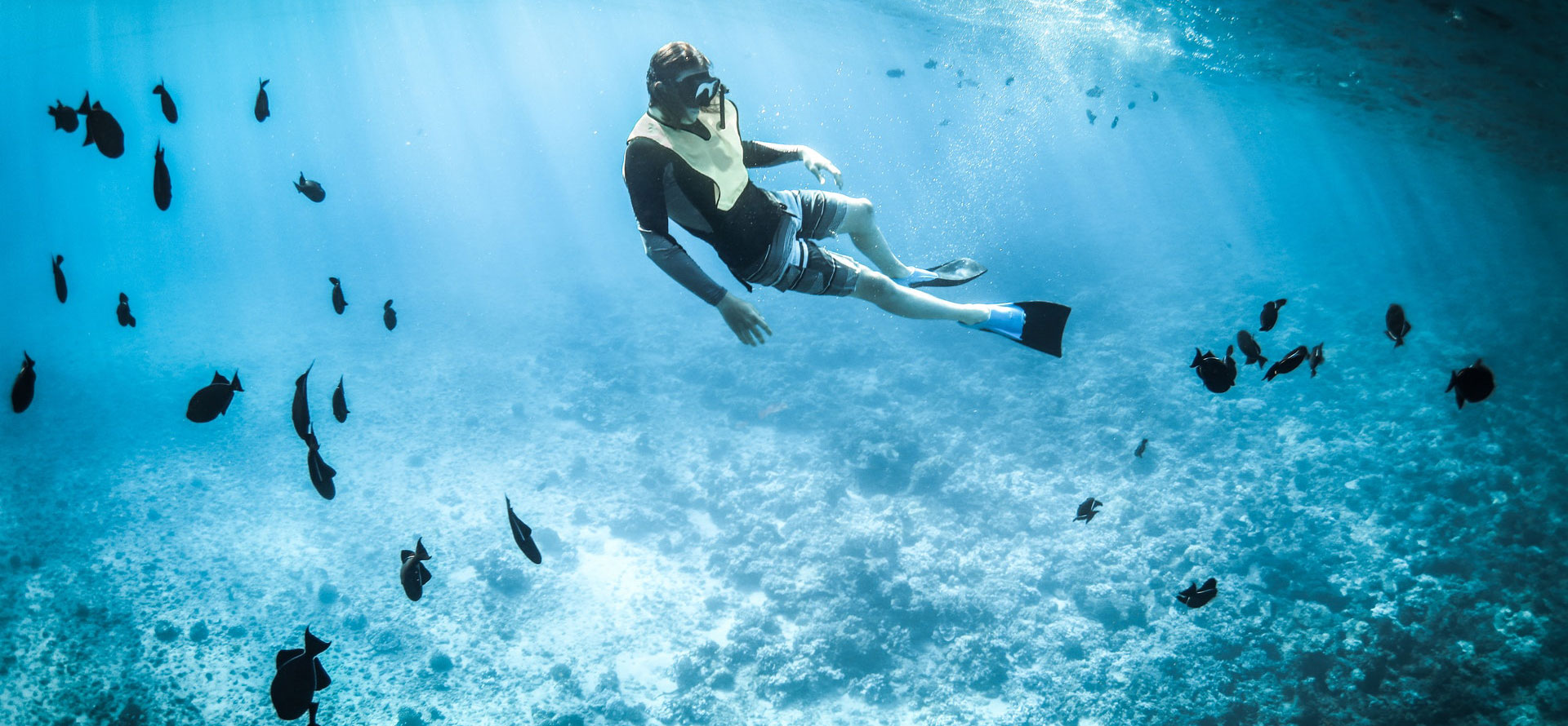 Texas Underwater Diving.