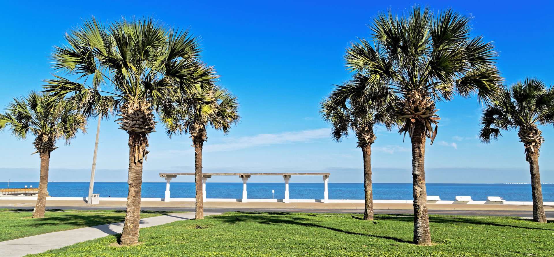 Palms on the best beach in Corpus Christi.