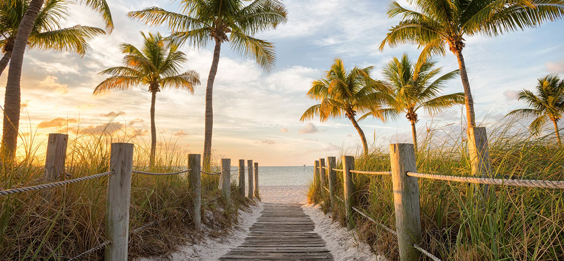 Palms in the Keys.