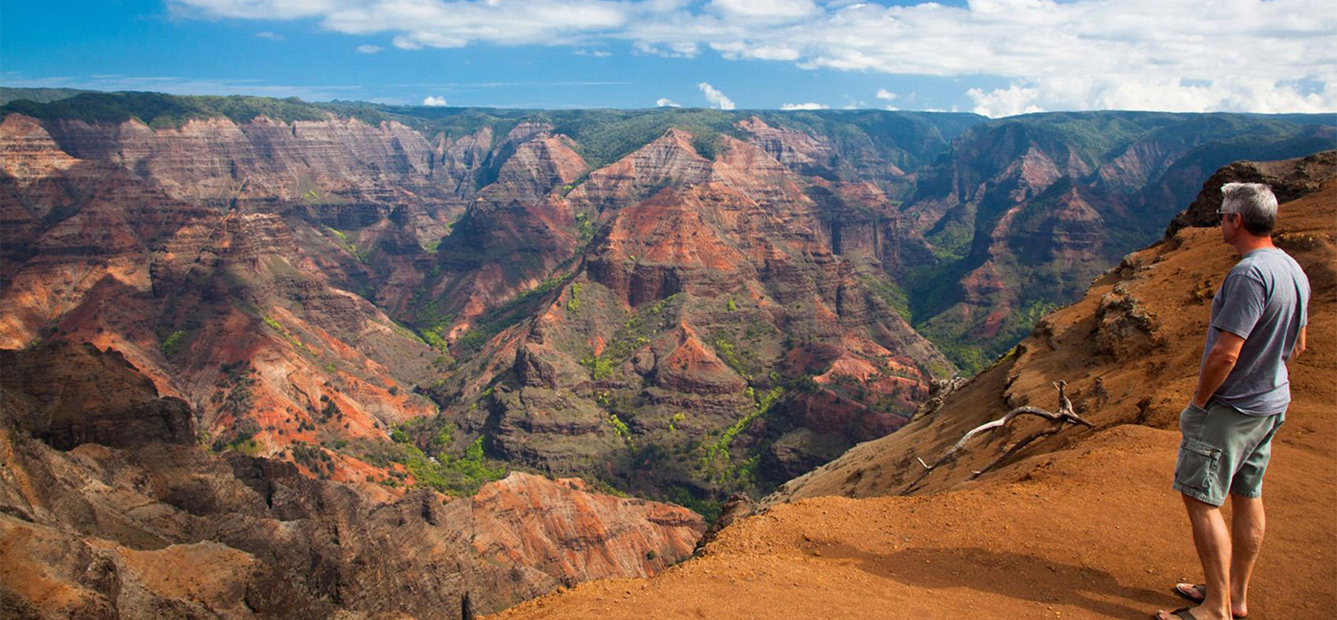 Canyon in Kauai.