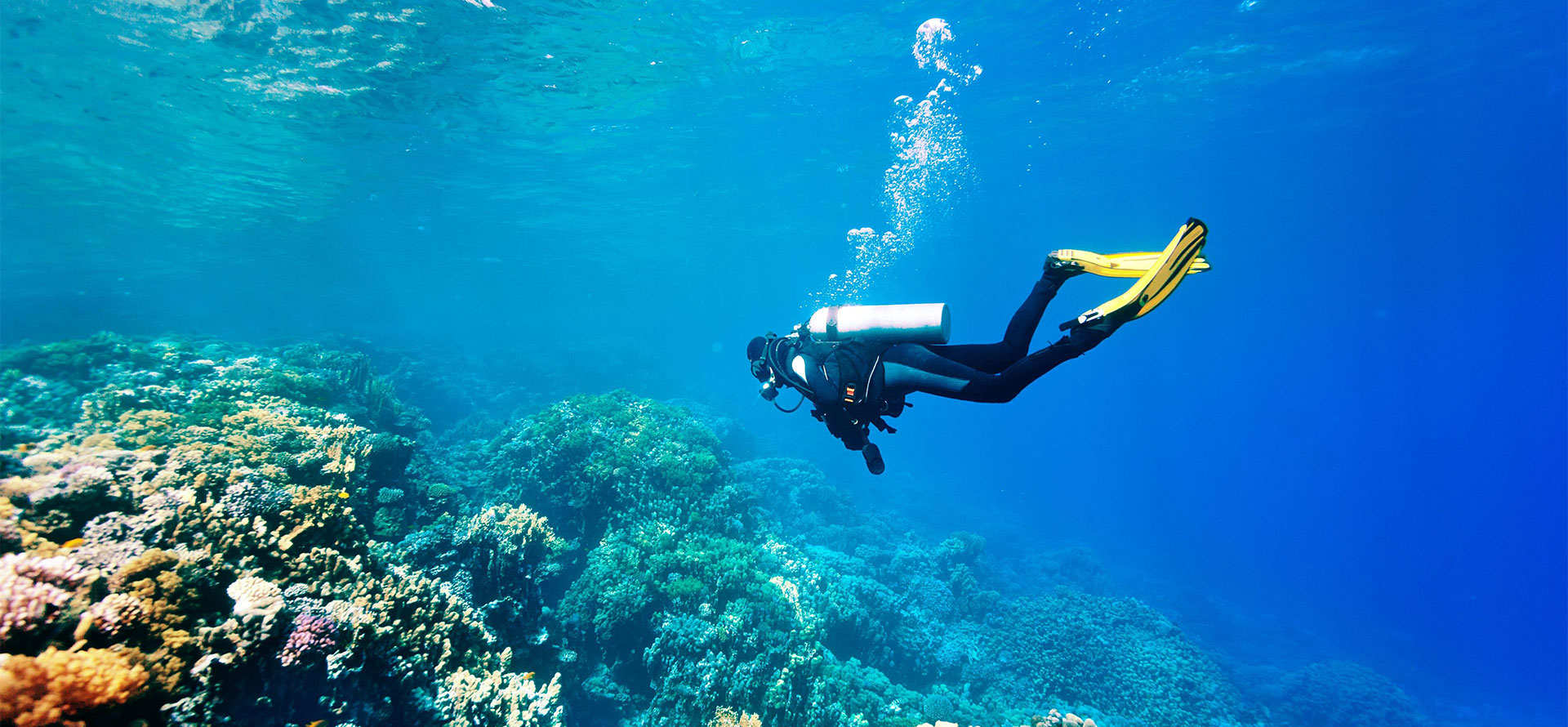 Diving in California.