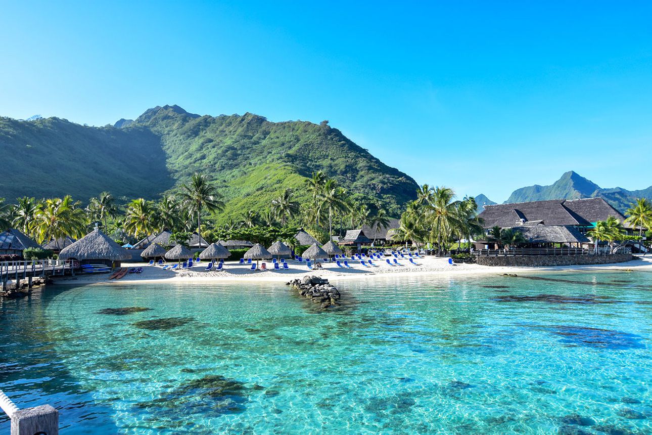 Hilton Moorea Lagoon Resort And Spa Review Tripbirdie