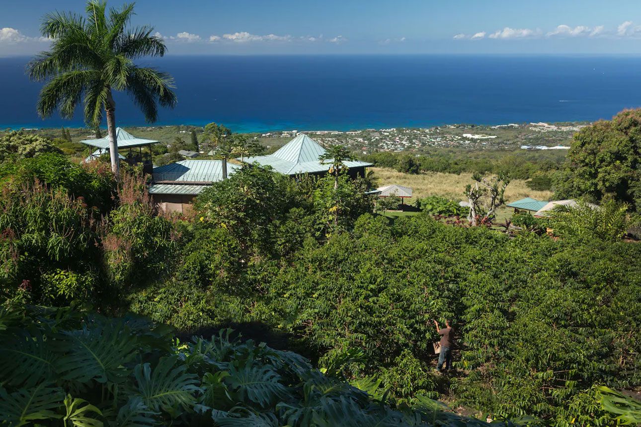 Holualoa Inn pool.