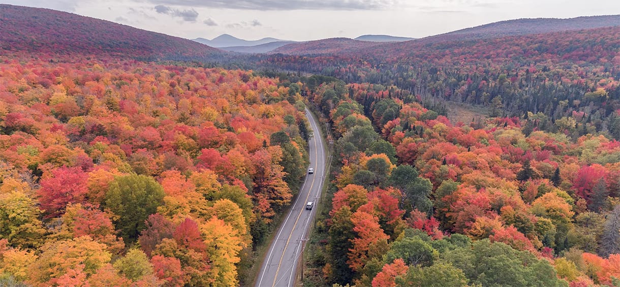 Honeymoon in Vermont road.