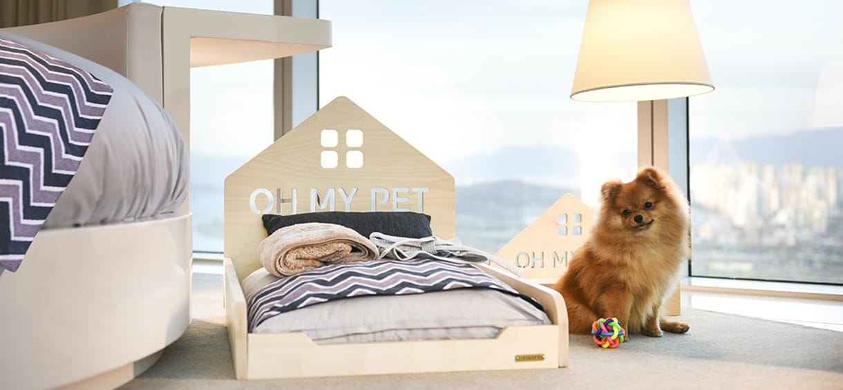 Pet Friendly Hotels in Wildwood.