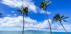 Maui Best Resorts.