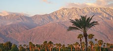 Palm Springs Boutique Hotels.