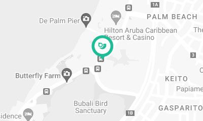 Riu Palace Aruba All Inclusive on the map.