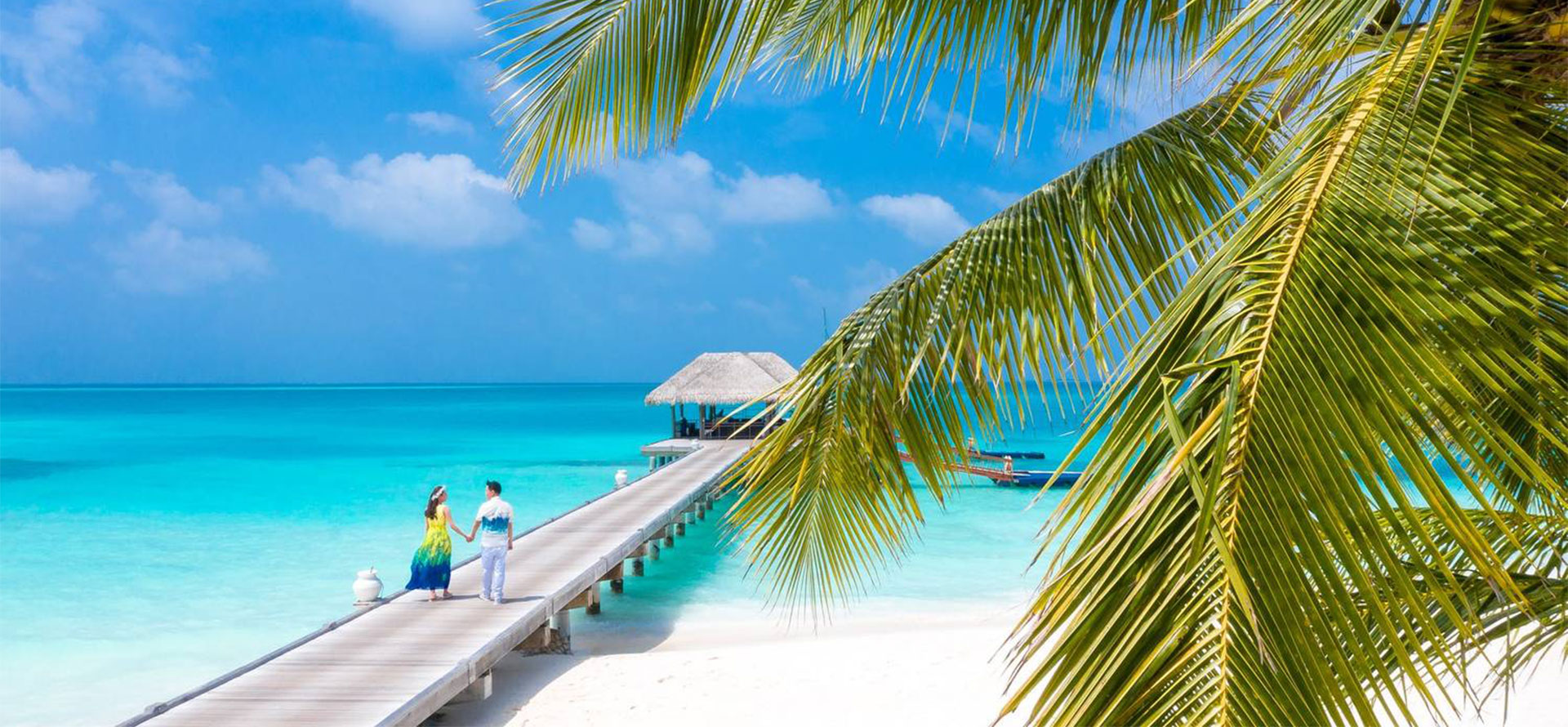Maldives all inclusive resort and palmtree.